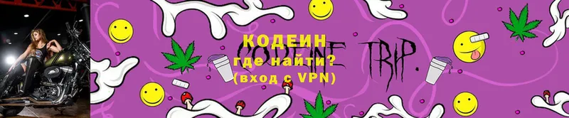 Codein Purple Drank  shop какой сайт  Камызяк  наркошоп  ссылка на мегу как войти 